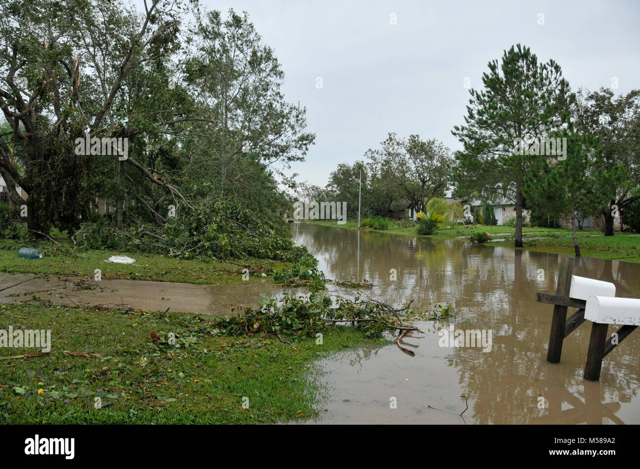 Destruction from 2008 Hurricane Ike storm in Texas, USA. Stock Photo