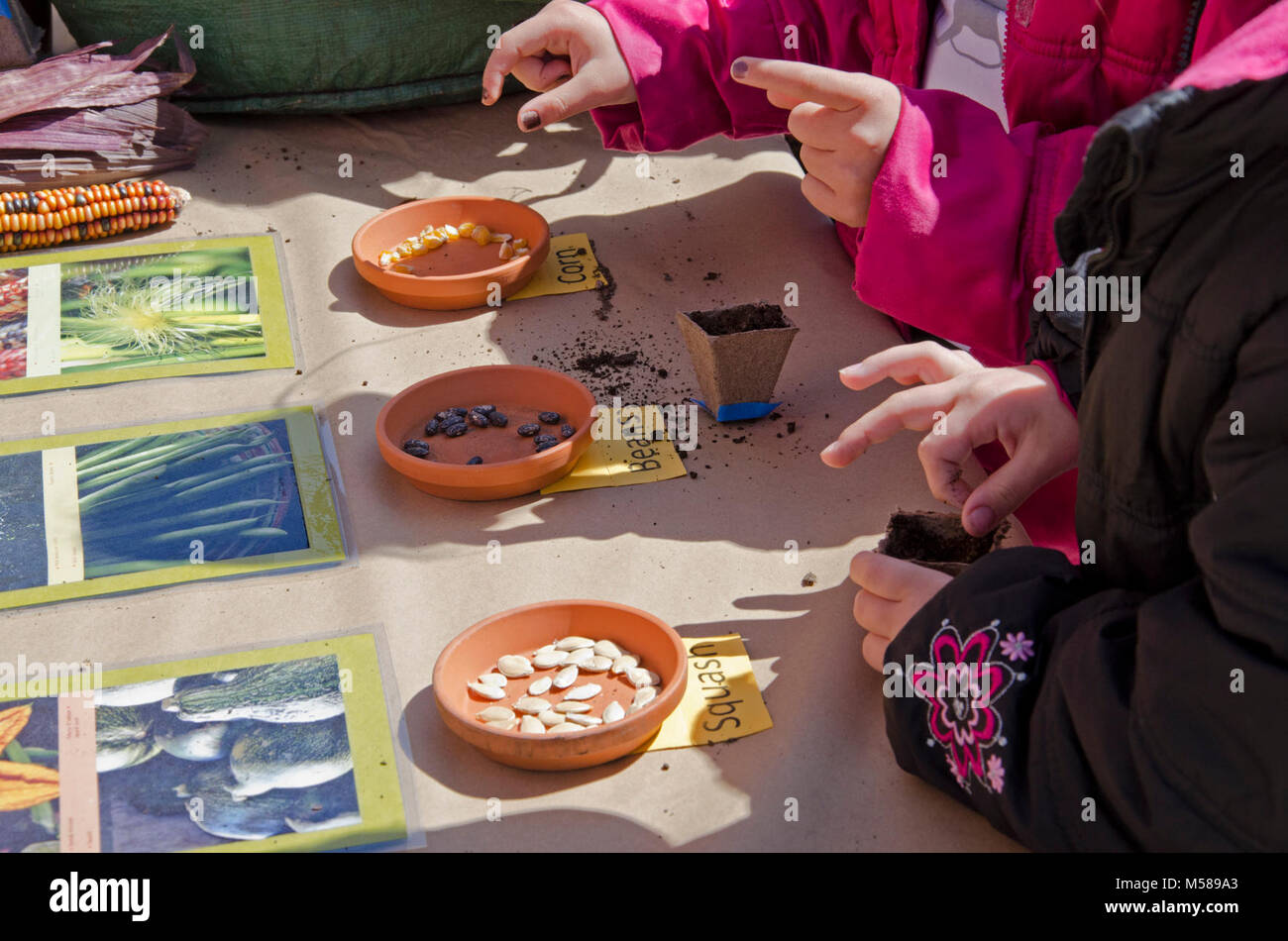Grand Canyon Archaeology Day Planting Seeds . Kids plant corn, beans and squash seeds