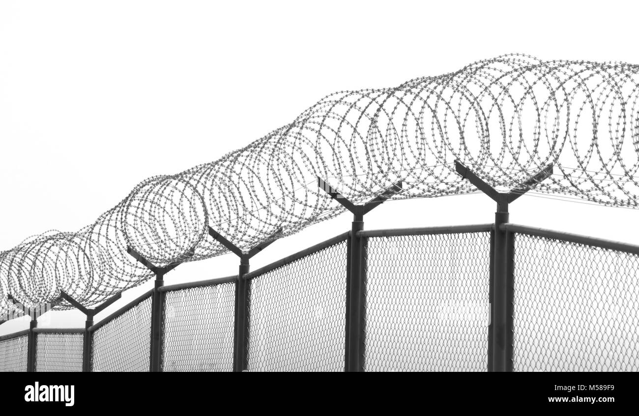 wire fence with barbed wires on white background Stock Photo - Alamy