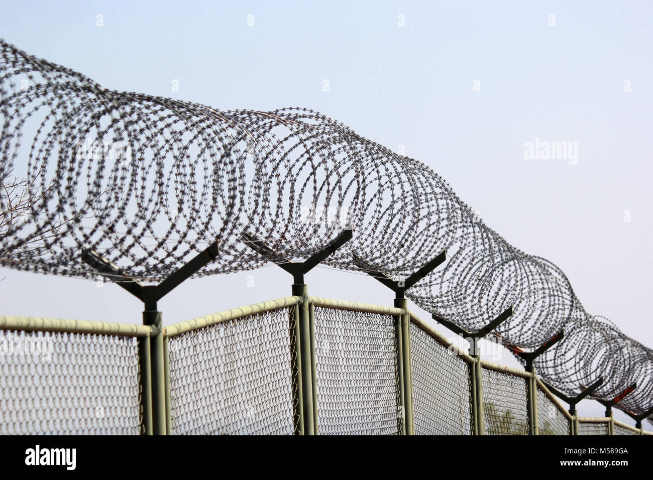 wire fence with barbed wires with sky background Stock Photo - Alamy