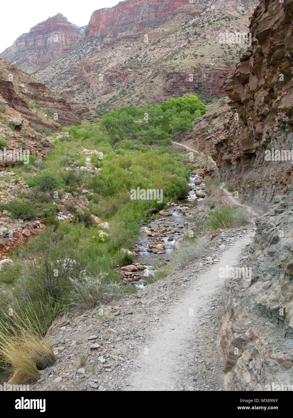 Grand Canyon N Kaibab Trail Cottonwood Campground . Cottonwood ...