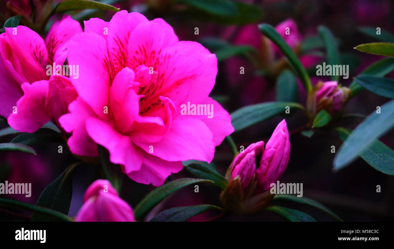 Audrey Gair Rind - Bad Water, image size:1300x821