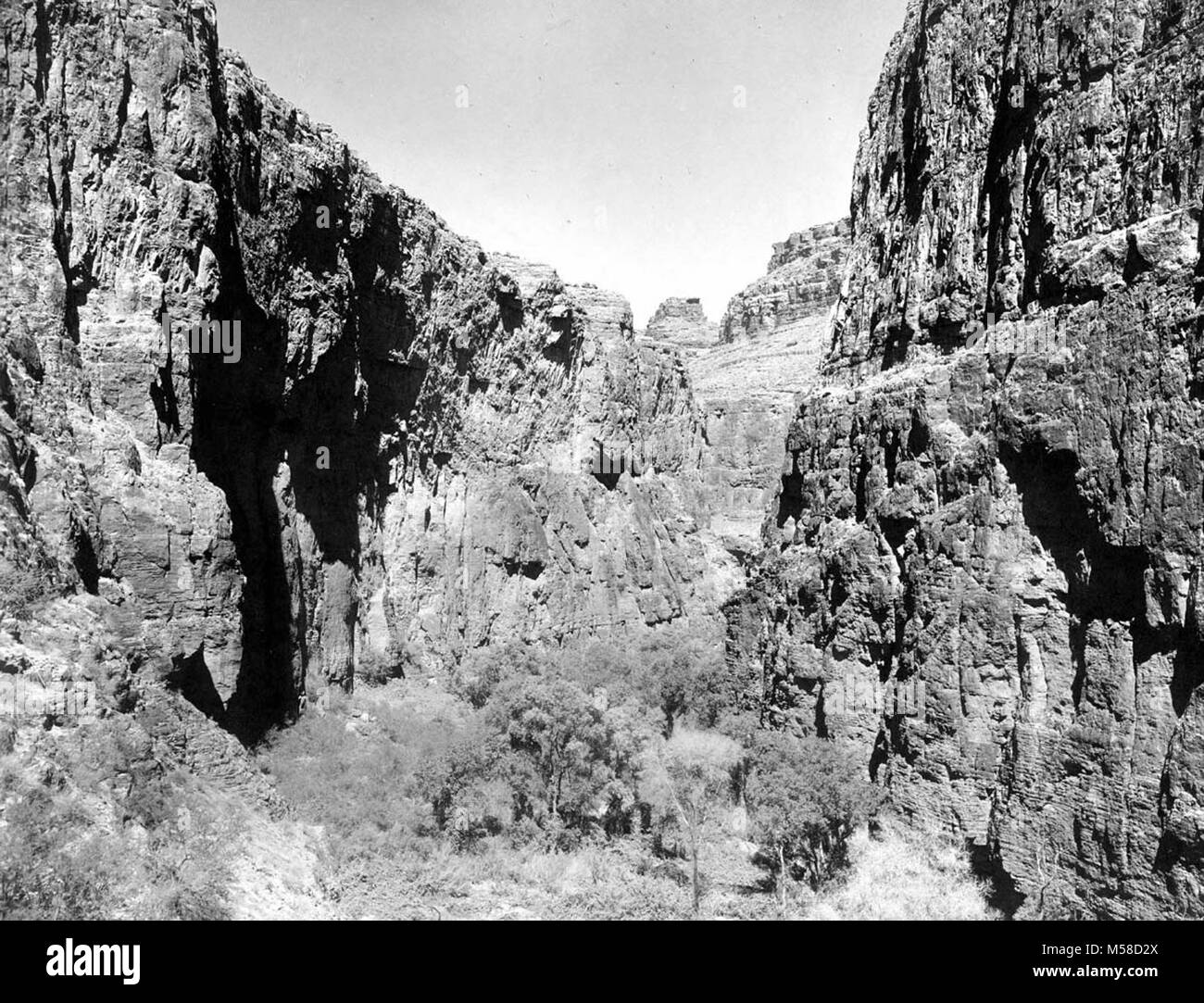 Grca Havasu Canyon Walls HAVASU CANYON BELOW MOONEY FALLS STEEP