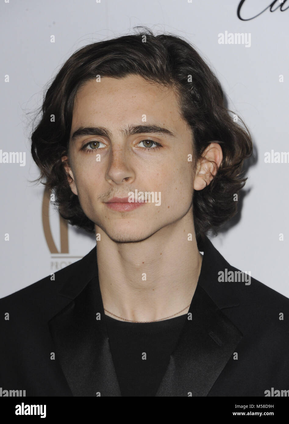The 2018 PGA Awards Featuring: Timothee Chalamet Where: Los Angeles ...