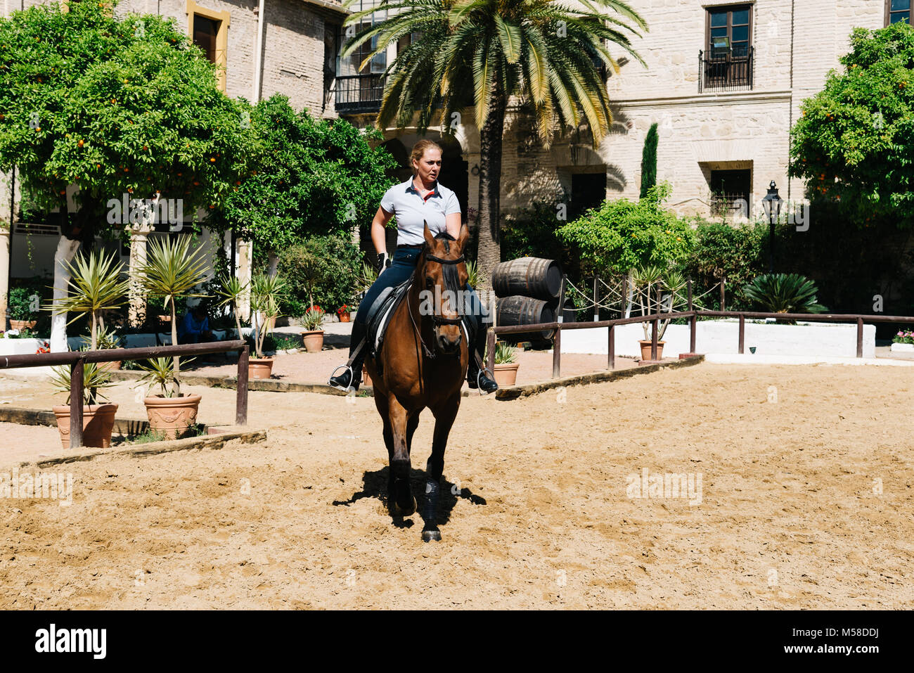 Cordoba, Spain April 12, 2017 Woman horse rider riding a brown