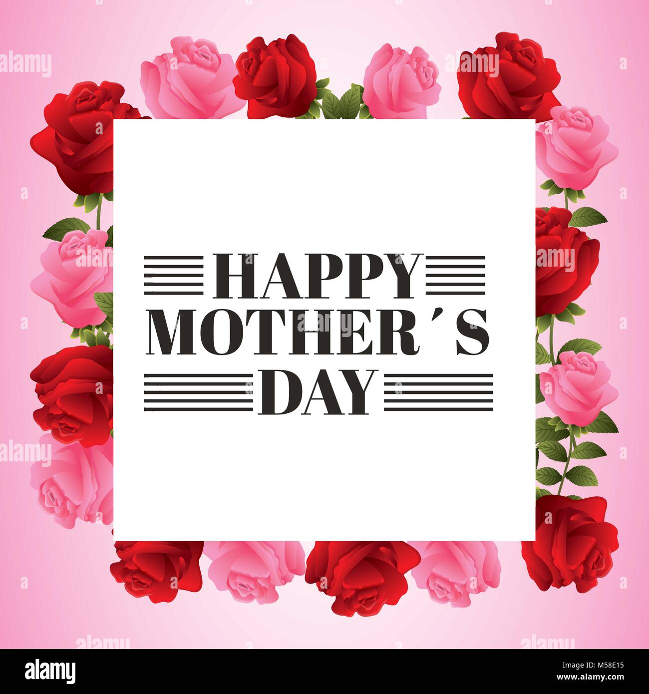 happy mothers day beautiful blooming red and pink rose flowers Stock ...