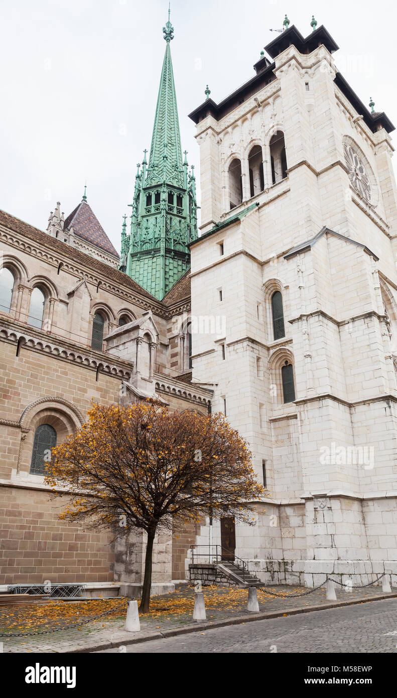 Geneva St Peter's Cathedral High Resolution Stock Photography and