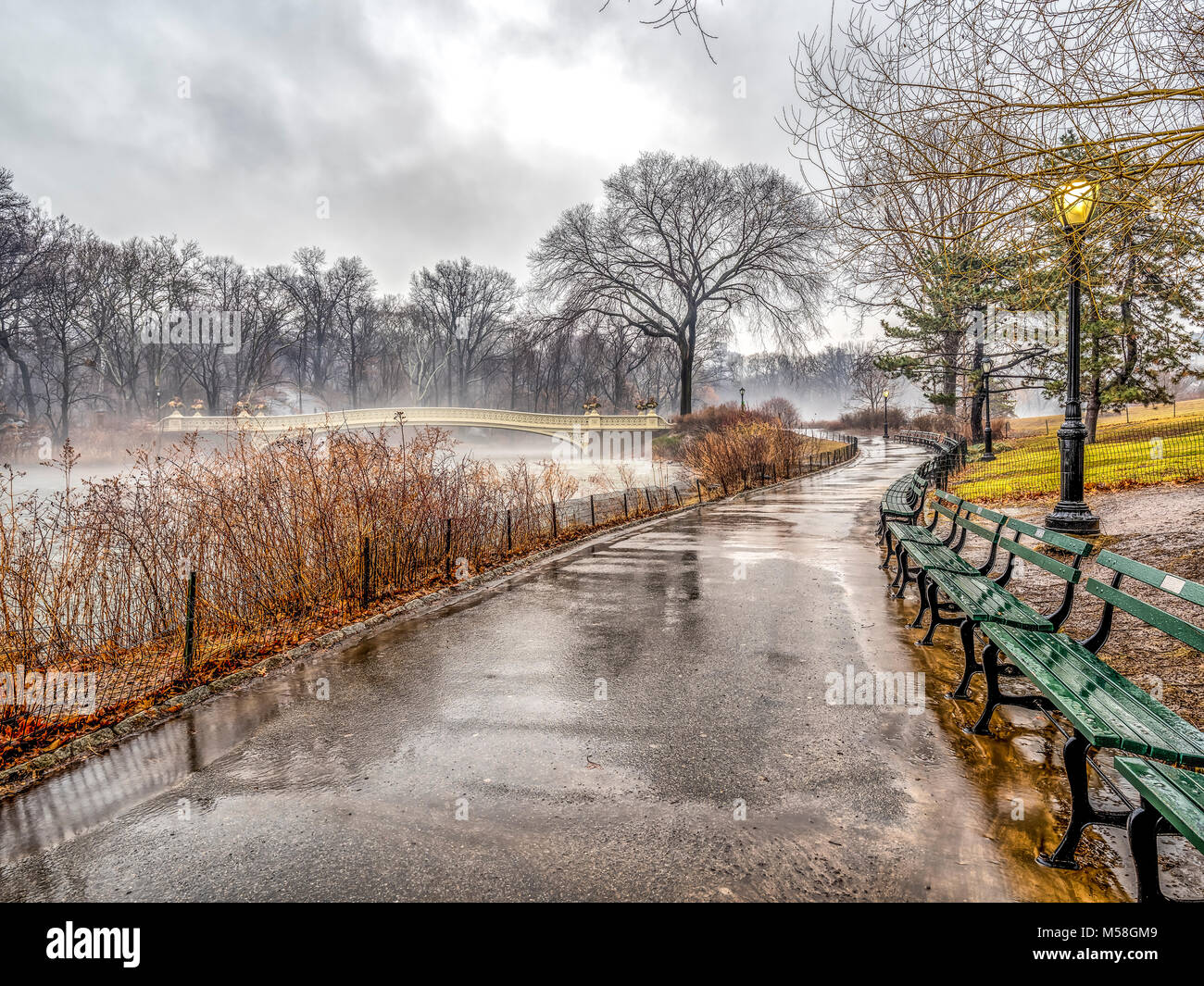 The Bow Bridge is a cast iron bridge located in Central Park, New York ...