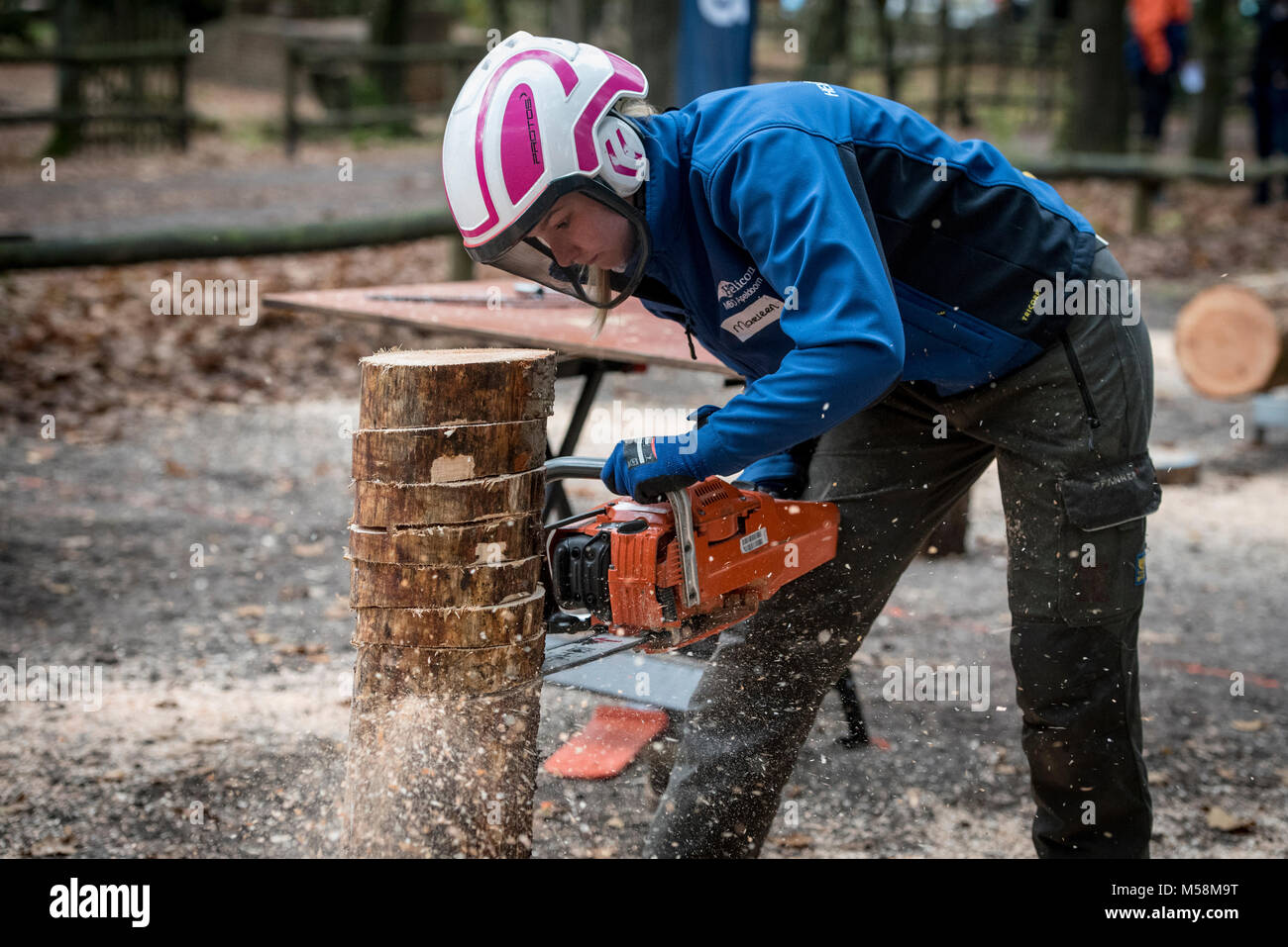 Logging Dutch Chapionships Stock Photo