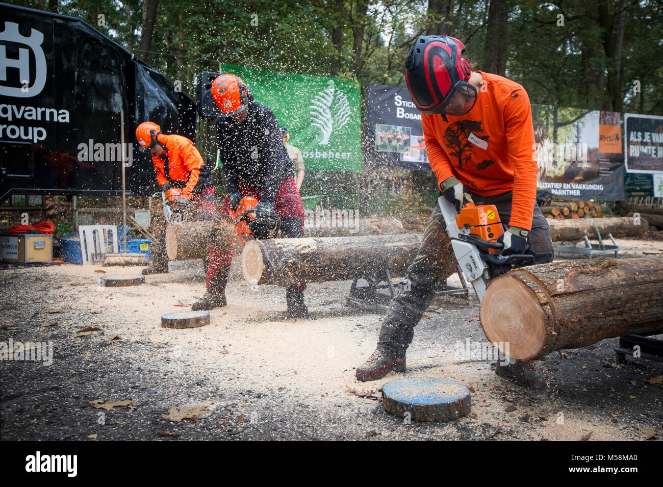 Logging Dutch Chapionships Stock Photo - Alamy