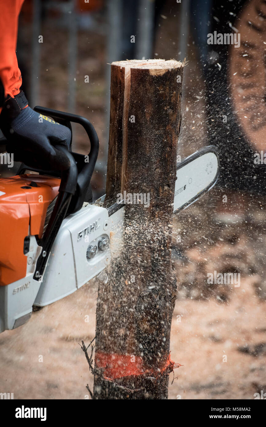 Logging saw hi-res stock photography and images - Alamy