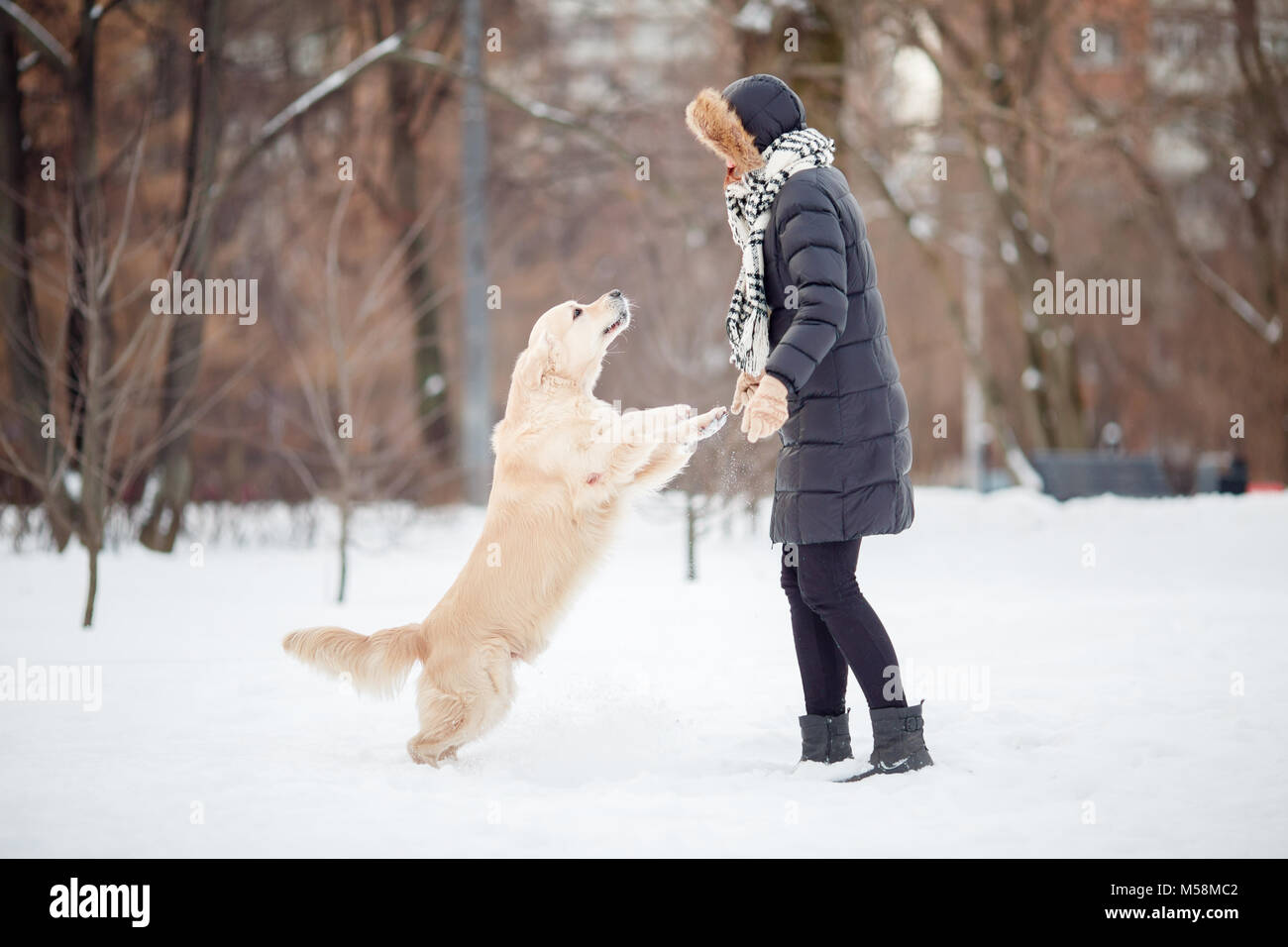 Picture of girl in black jacket playing with labrador at snowy park Stock Photo