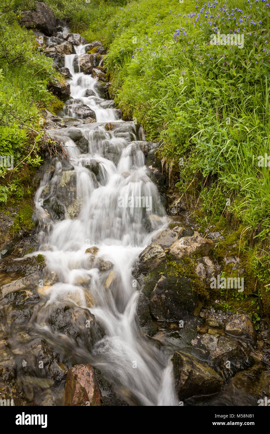 Small stream flowing over rocks near Eielson Visitor Center in in Denali National Park, Alaska Stock Photo