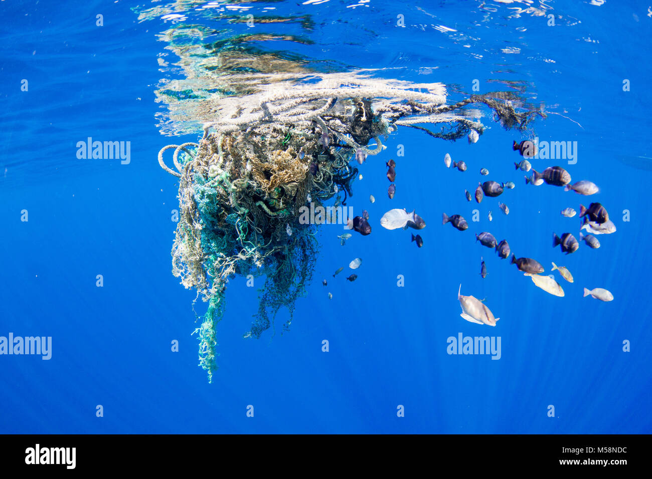 Currents accumulate marine debris in areas around the global ocean. Stock Photo