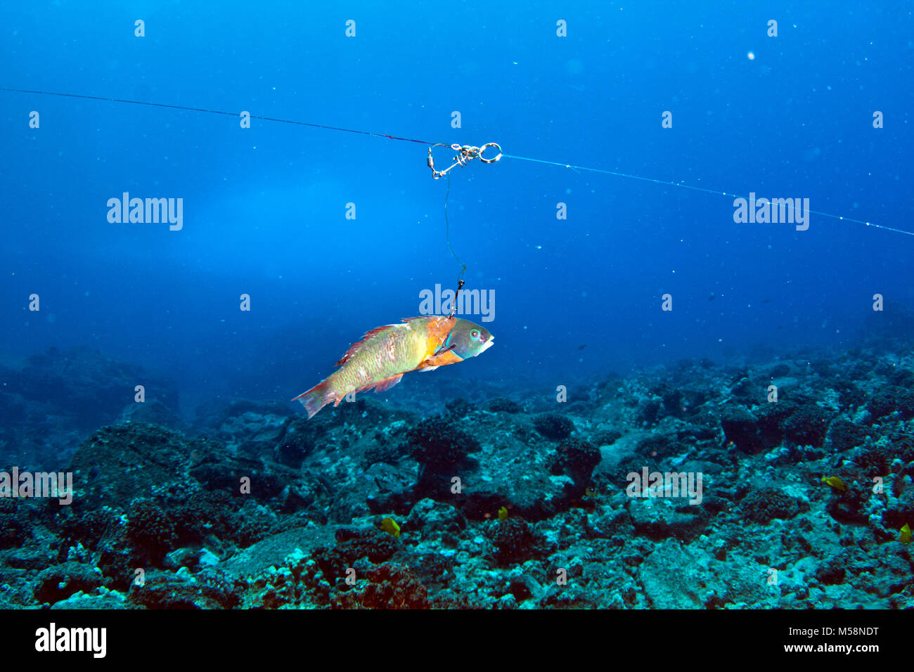 Currents accumulate marine debris in areas around the global ocean. Stock Photo