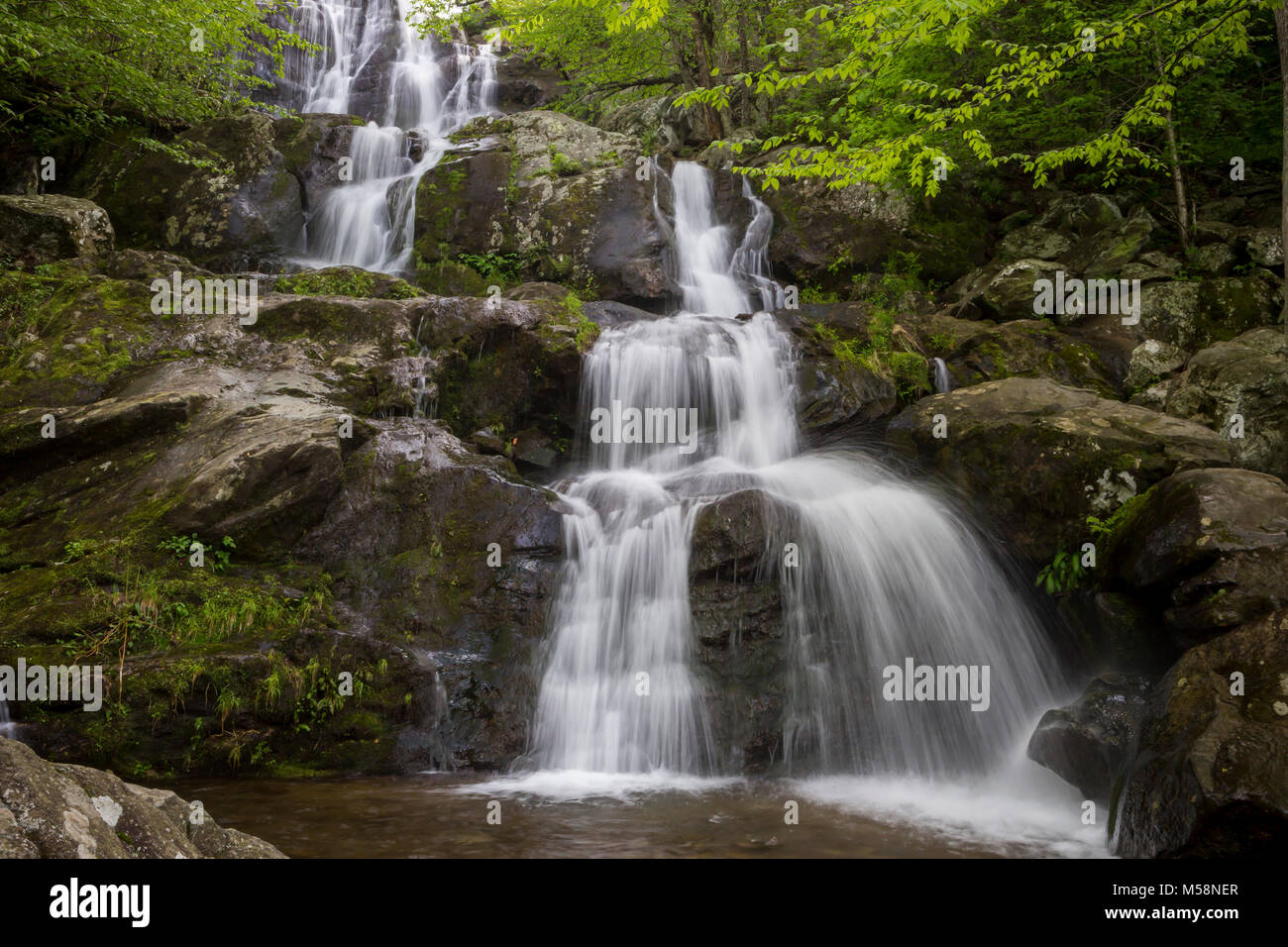 Dark Hollow Falls in Shenandoah National Park, Virginia Stock Photo