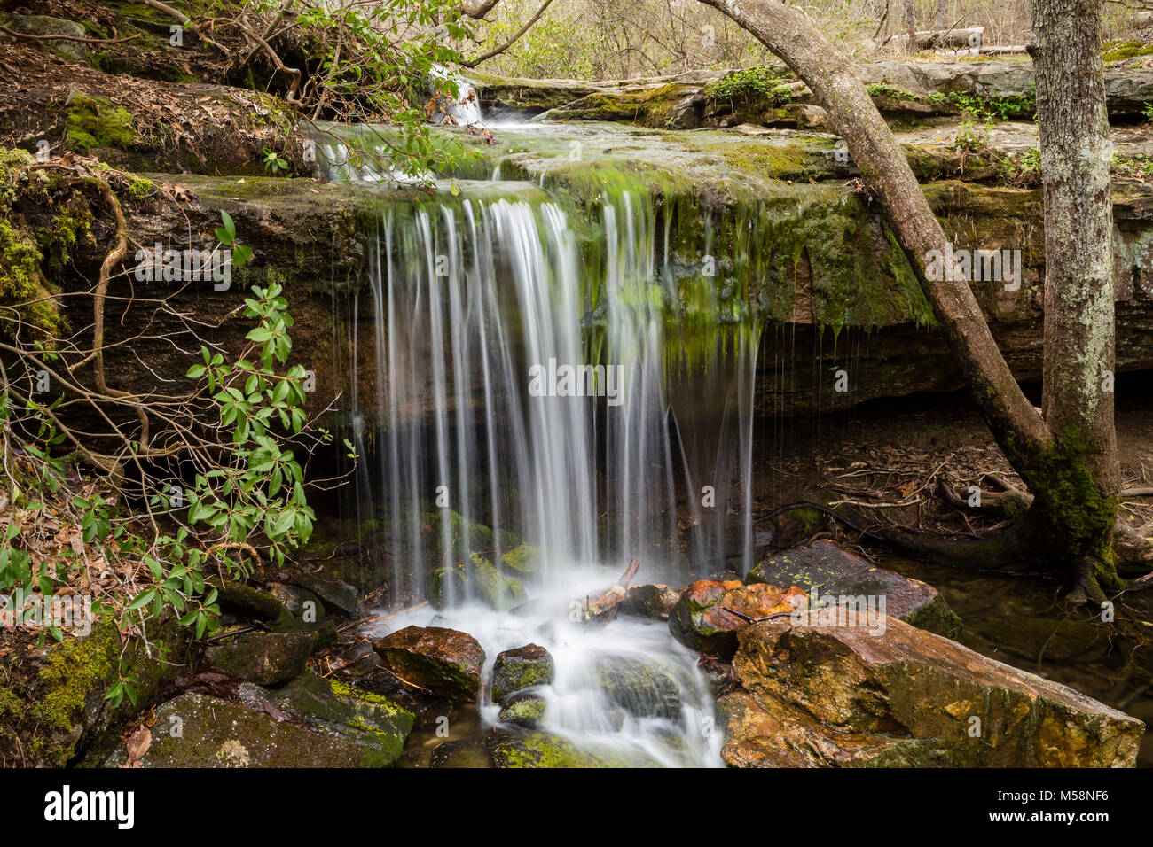 Escape to De Soto: Where Alabama's Natural Beauty Meets Adventure