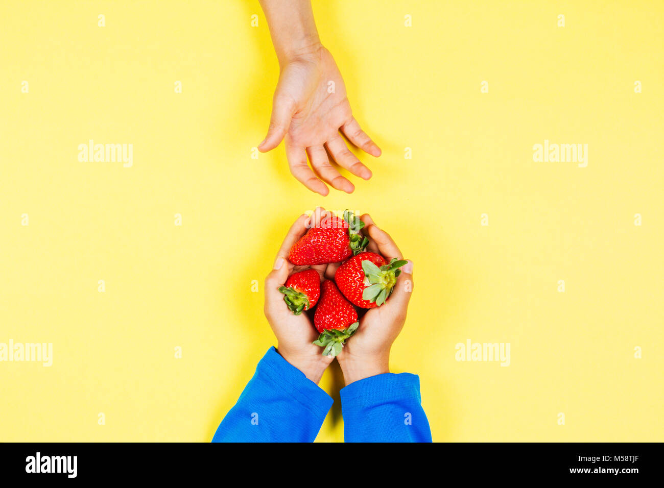 Kid hand taking strawberry from another child's hands Stock Photo