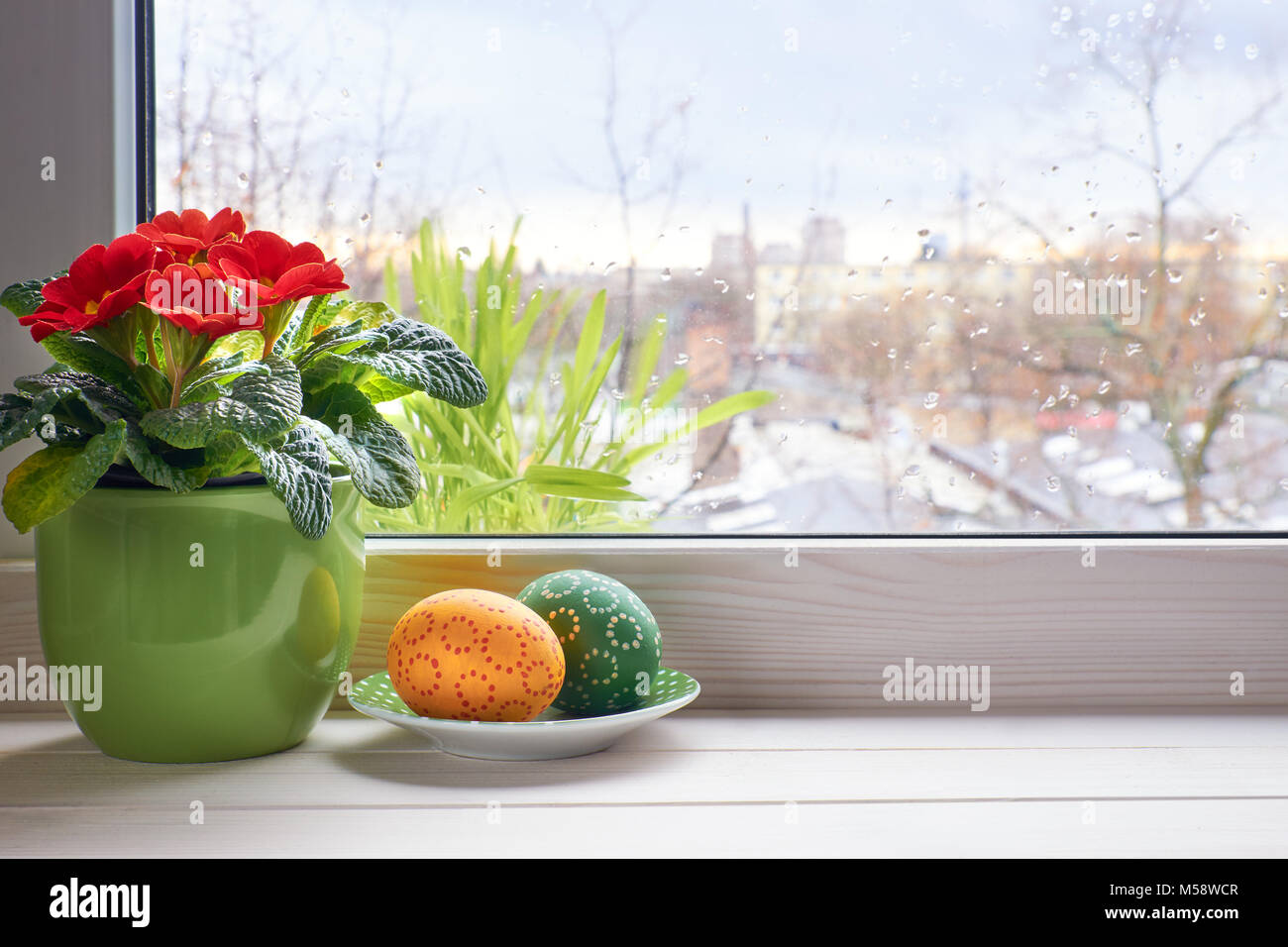 Spring background with red primrose flowers in pot and Easter eggs on the window with raindrops. Space for your text. Stock Photo