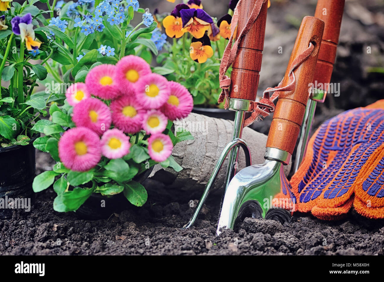 Gardening tools hi-res stock photography and images - Alamy