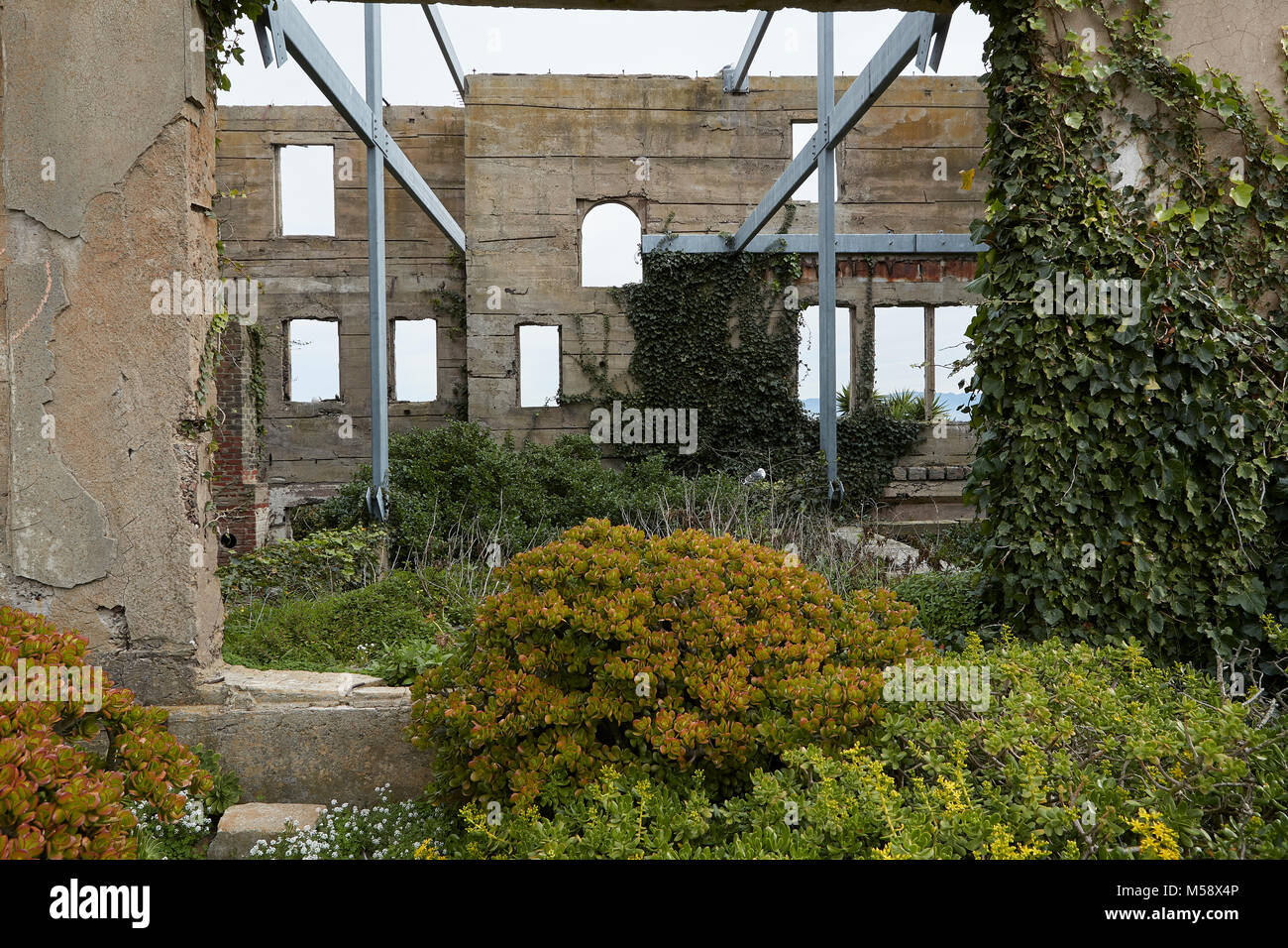 The Abandoned And Overgrown Post Exchange / Officers Club At Alcatraz, San Francisco, California. Stock Photo