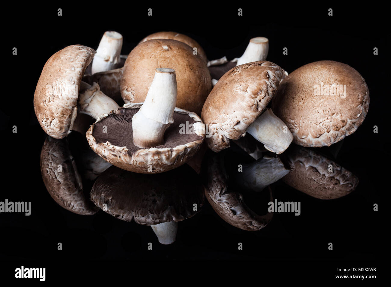View from side on few big brown champignon mushrooms Stock Photo