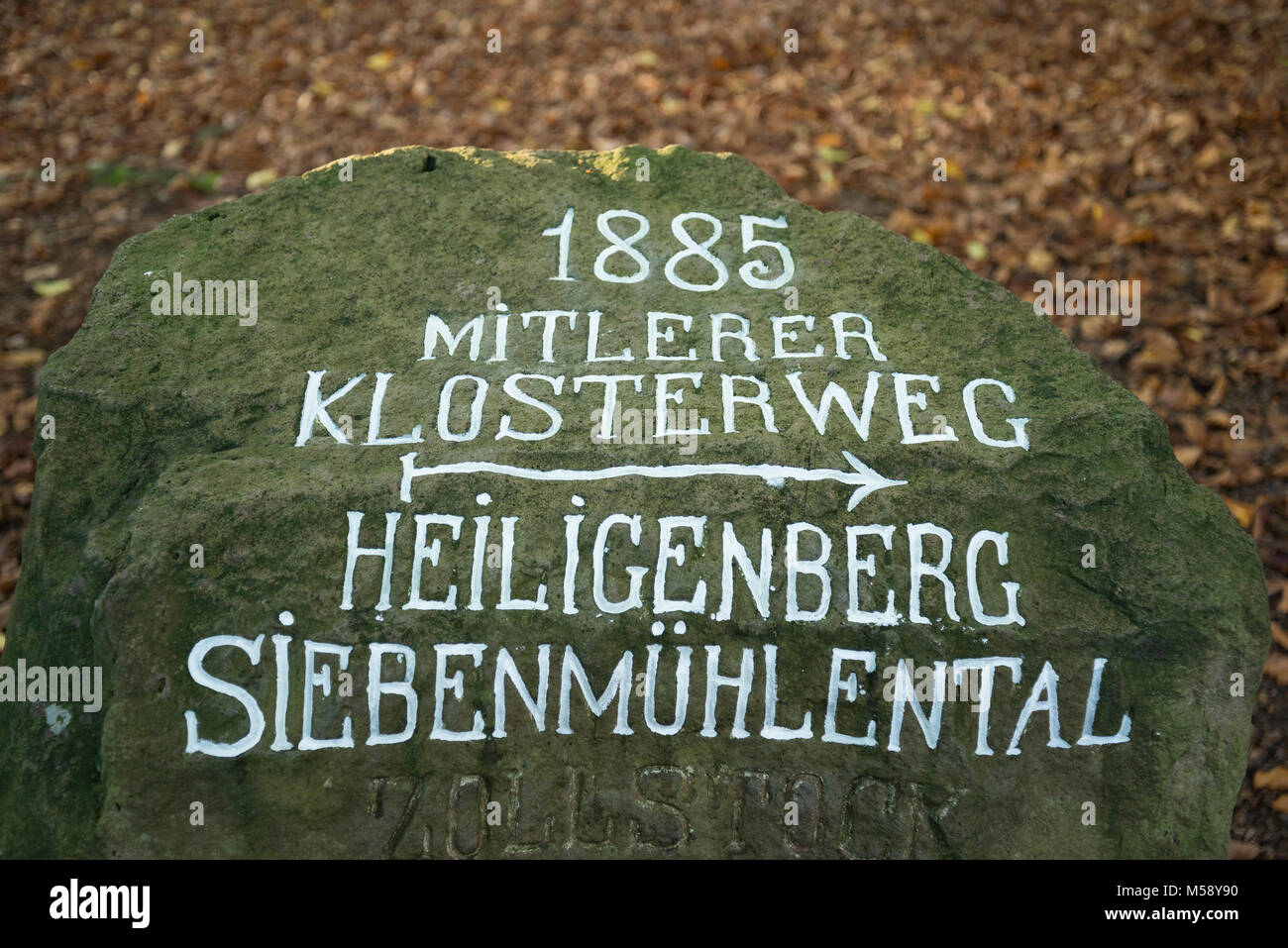 Heiligenberg, Heidelberg, Baden-Württemberg, Deutschland, Europa Stock Photo