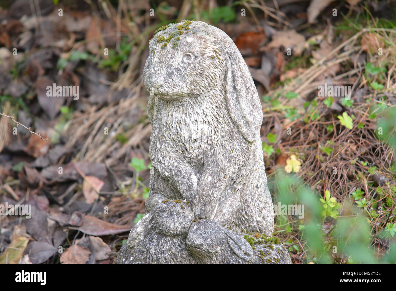 Rabbit statue hi-res stock photography and images - Alamy