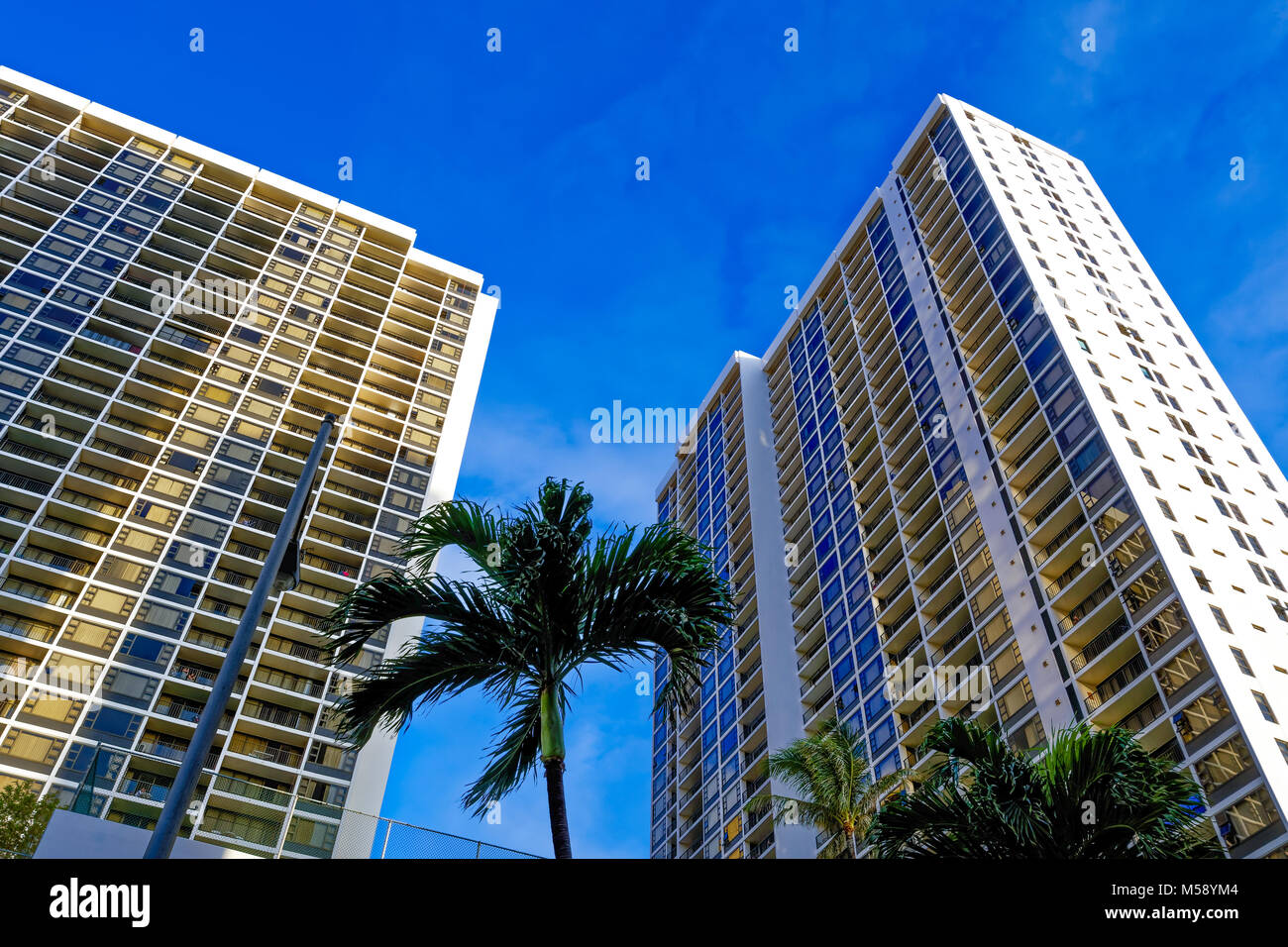 Hawaii palms and buildings Stock Photo
