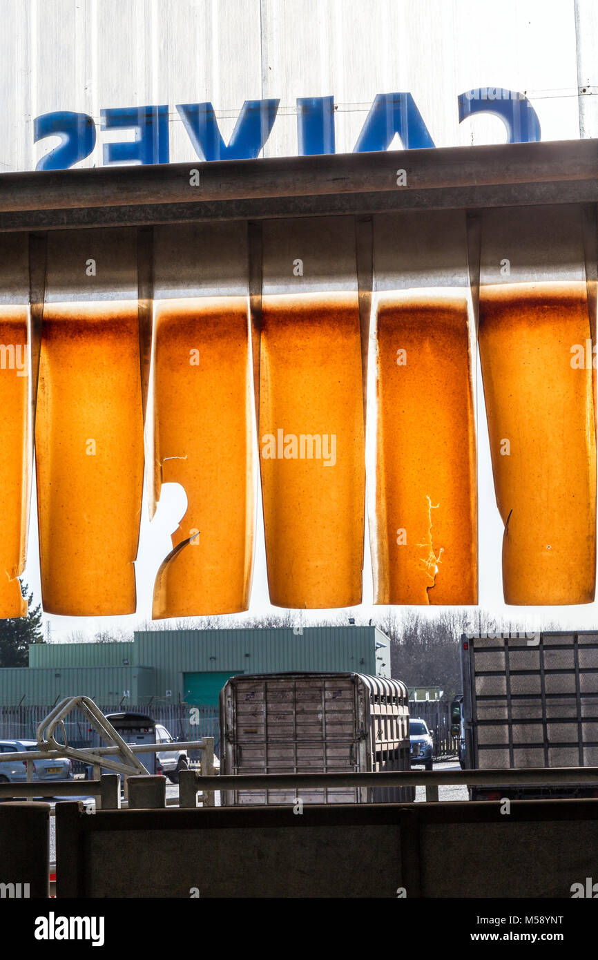 calves coming to market Stock Photo Alamy