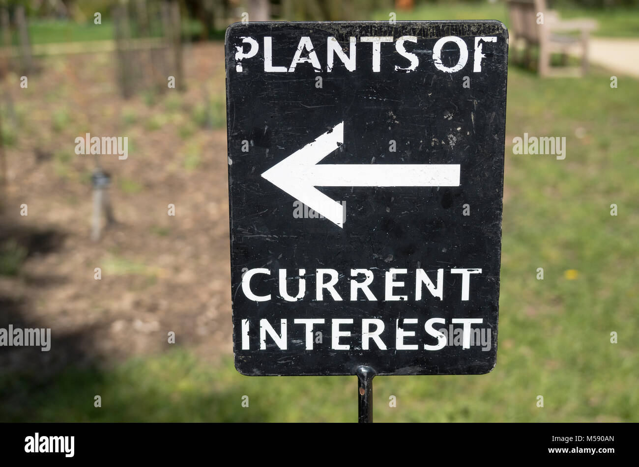 A helpful sign pointing the way within an English arboretum to plants of current special interest in UK Stock Photo