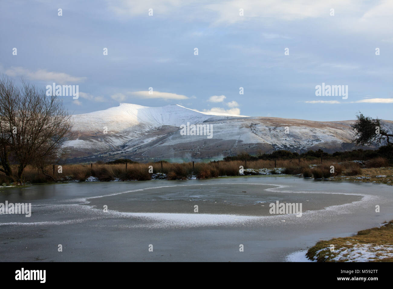 Iced pond at Mynydd Illtud Common, with Pen y Fan & Corn Du Brecon Beacons National Park, Powys, Wales Stock Photo
