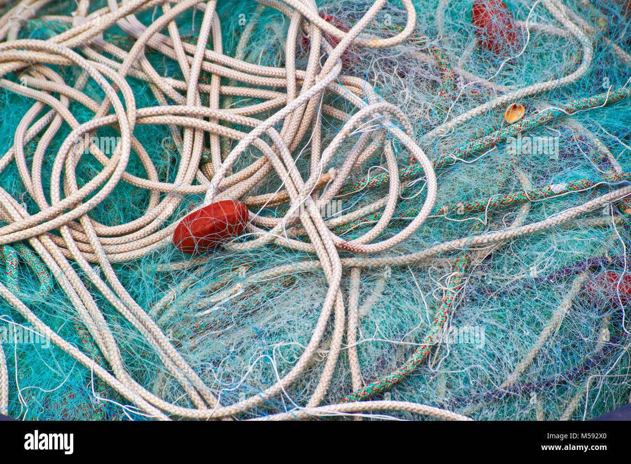 Net used to catch fish Stock Photo Alamy