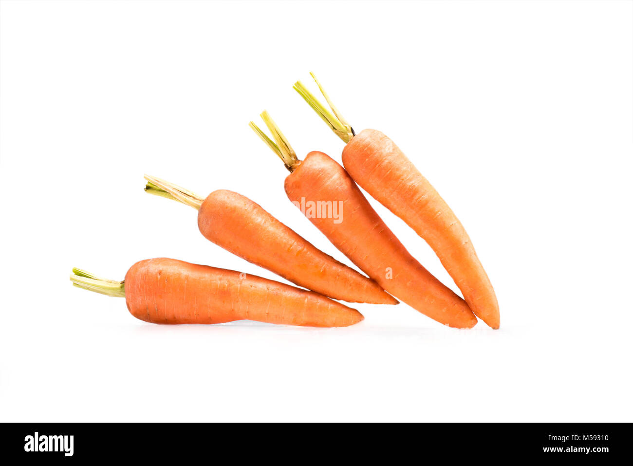 pile of fresh ripe carrots Stock Photo