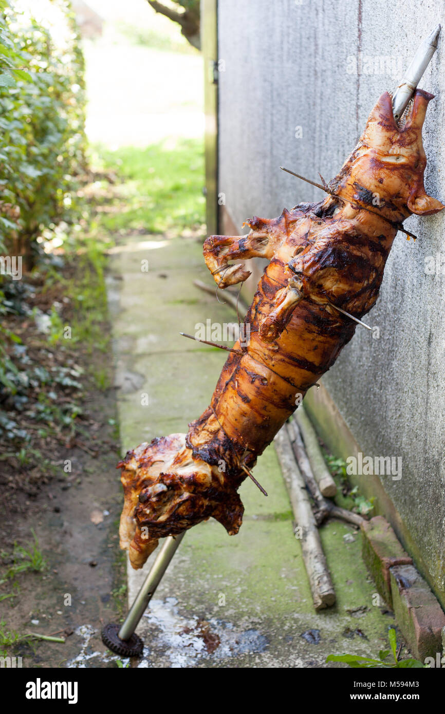 Roasted pig on the rack, roast pork on the spit Stock Photo