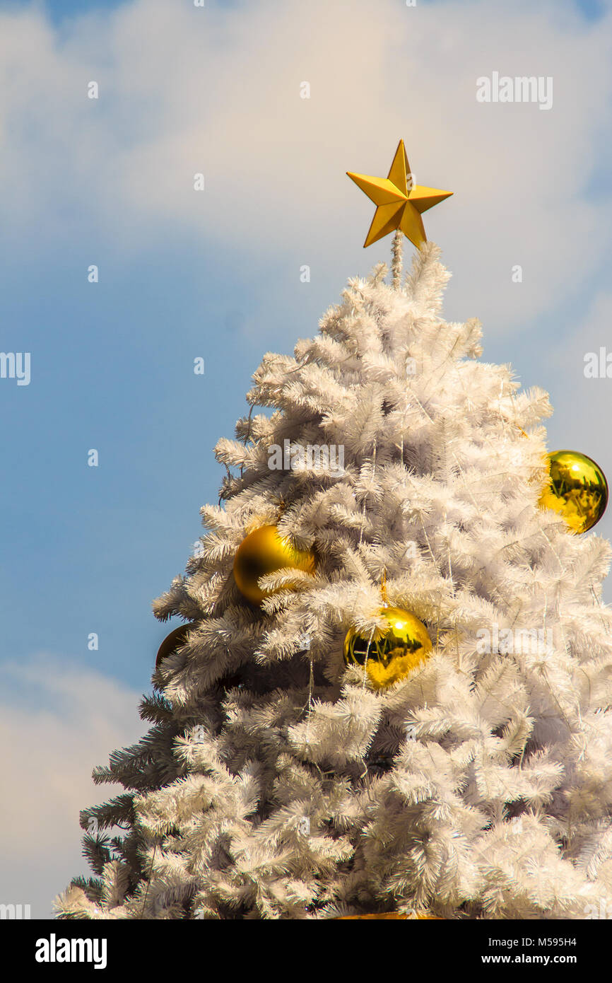 Beautiful Golden star on top of the outdoor white chrismas tree with ...