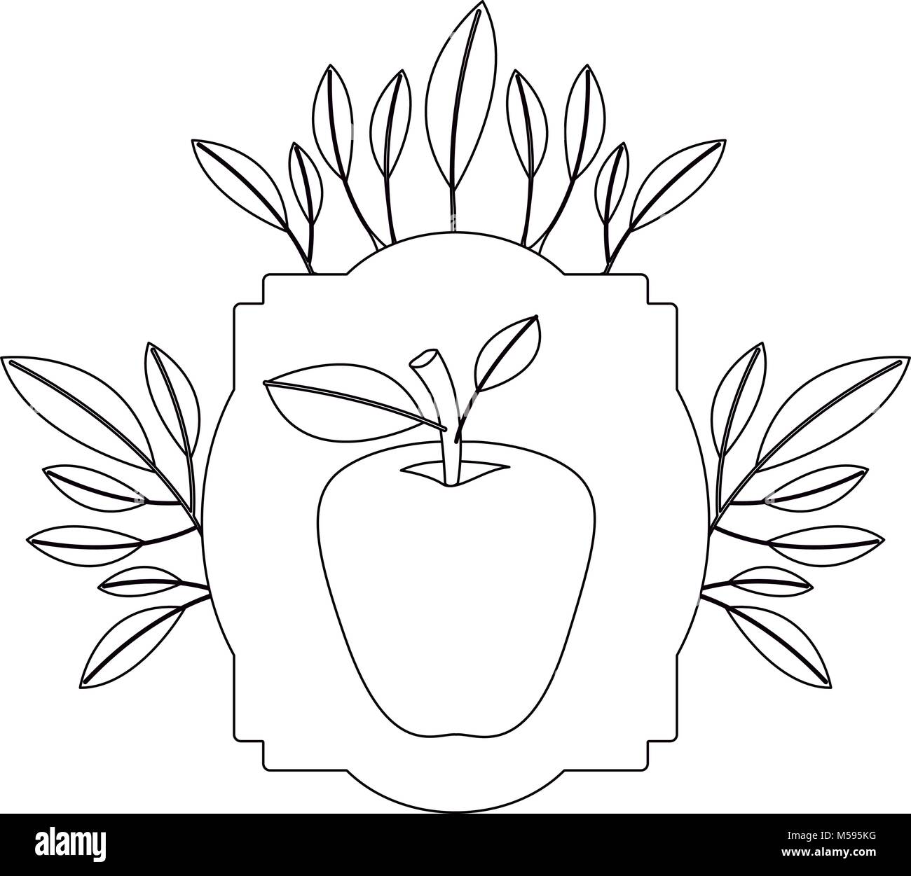 apple fresh fruit with leafs frame Stock Vector Image & Art - Alamy