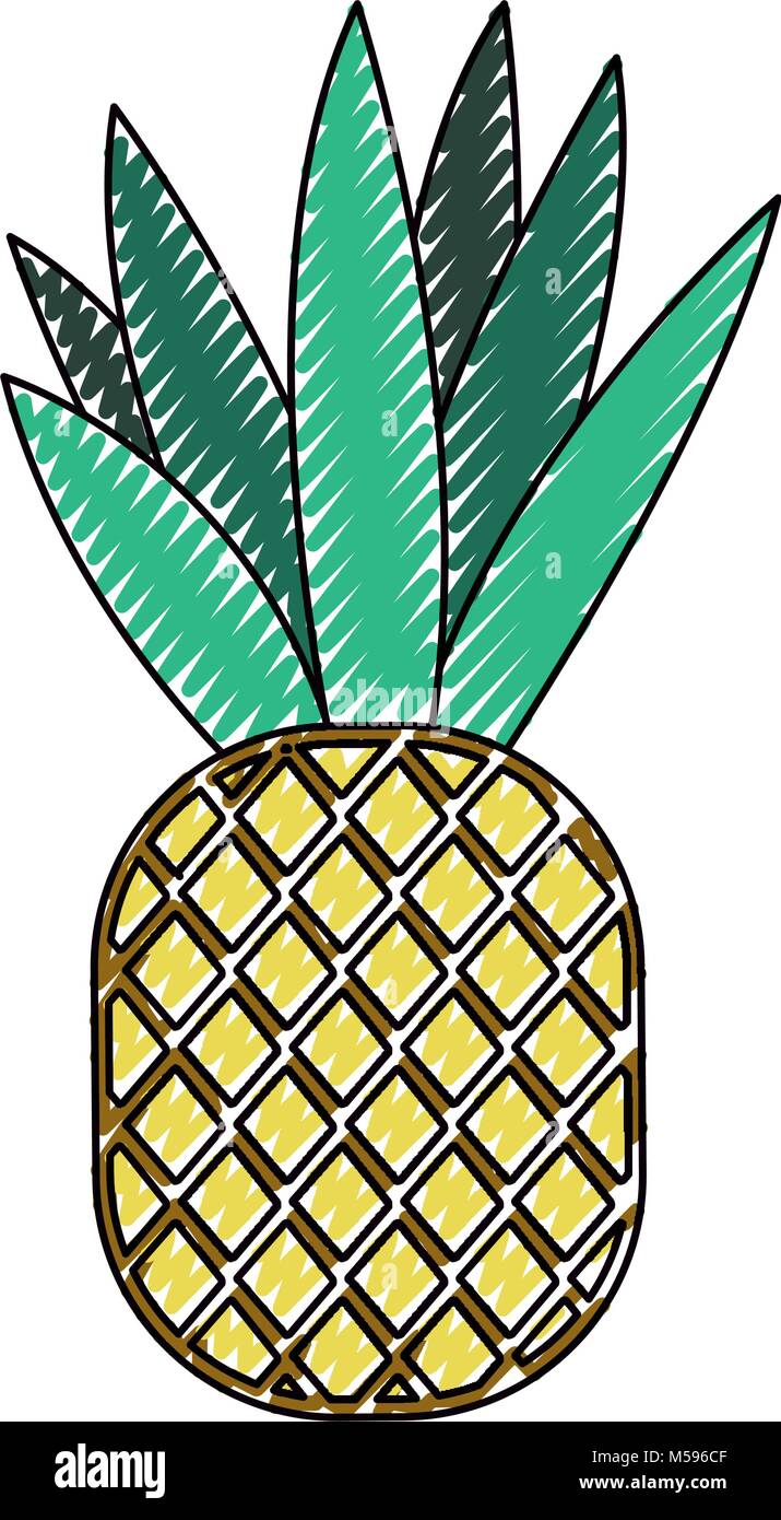 pineapple fresh fruit icon Stock Vector Image & Art - Alamy