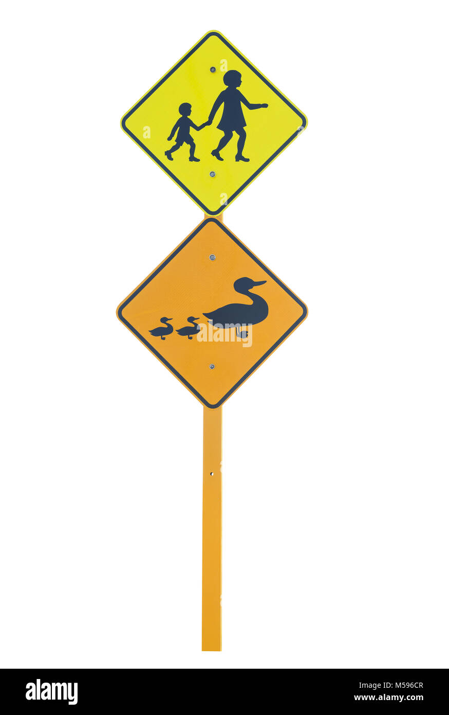 School area and Ducks warning traffic signs  isolated on a white background Stock Photo