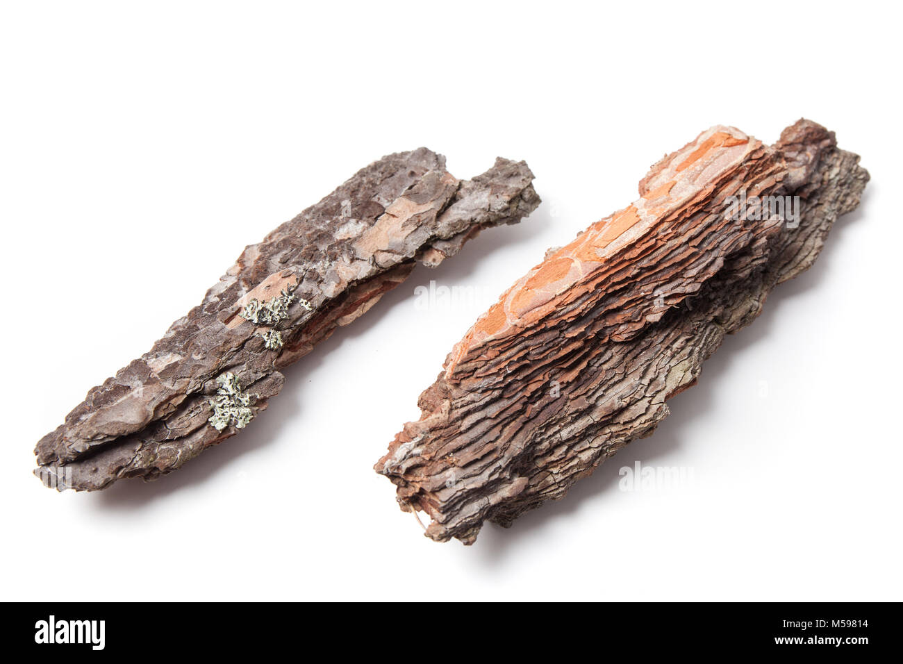 Two pieces of pine bark isolated on white. Stock Photo