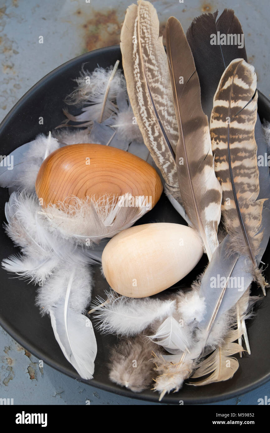 Wooden eggs and feathers in a ceramic bowl Stock Photo - Alamy
