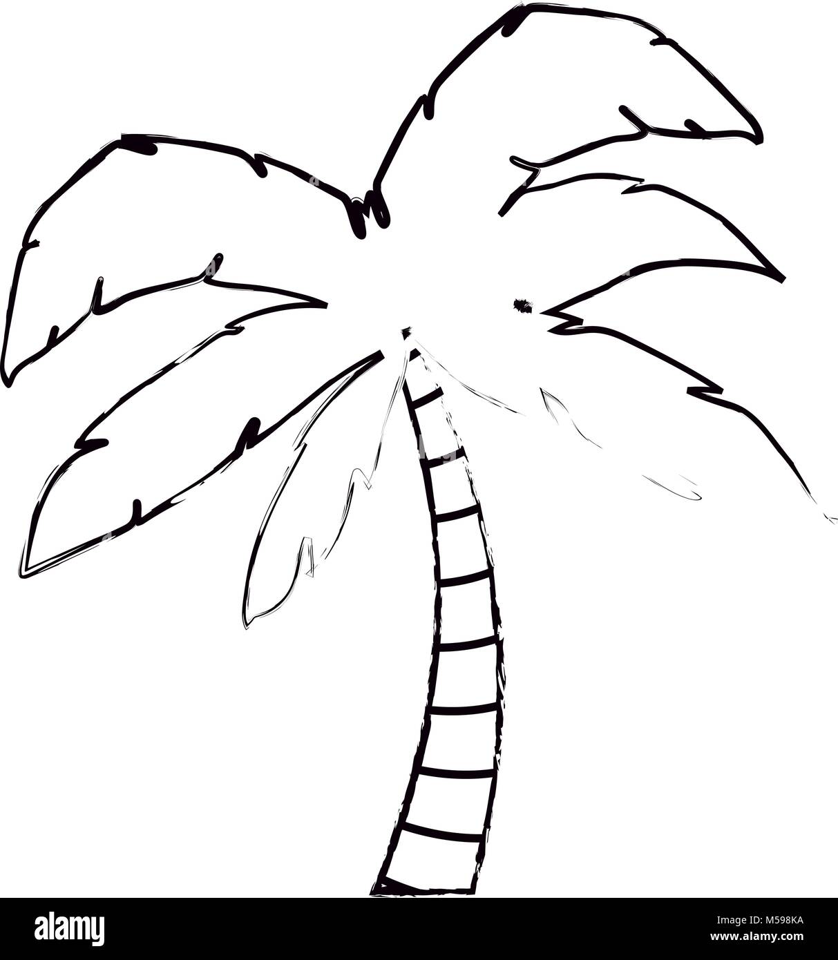 tree palm tropical plant Stock Vector Image & Art - Alamy
