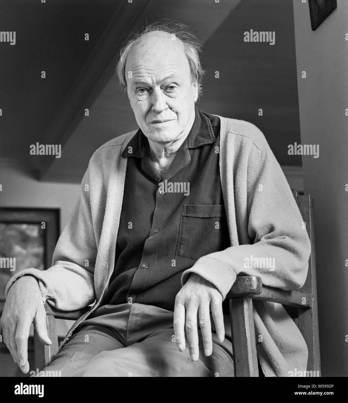 Roald Dahl, 13 September 1916 – 23 November 1990, author of childrens. books and stories, archival photograph made on 18 September 1989 in his home, England, UK Stock Photo
