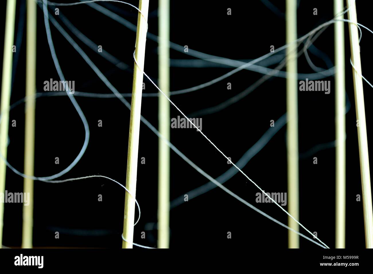 Abstract lines and threads Stock Photo - Alamy