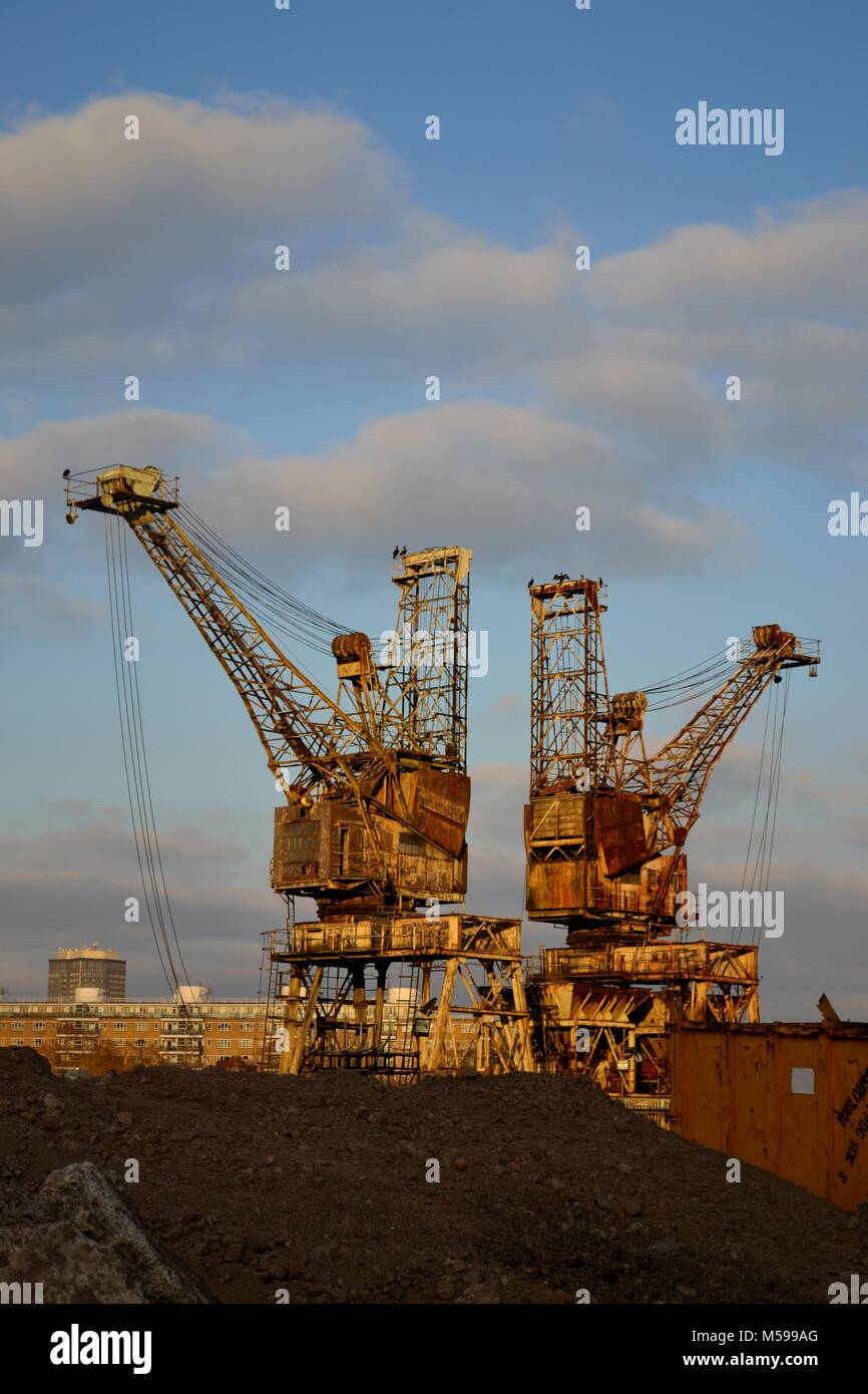 Loader lifting cranes hi-res stock photography and images - Alamy