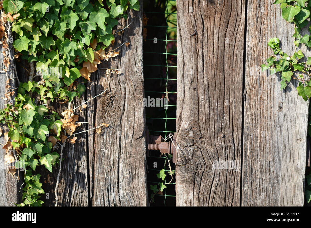 Zoom on an very old wooden fence Stock Photo - Alamy