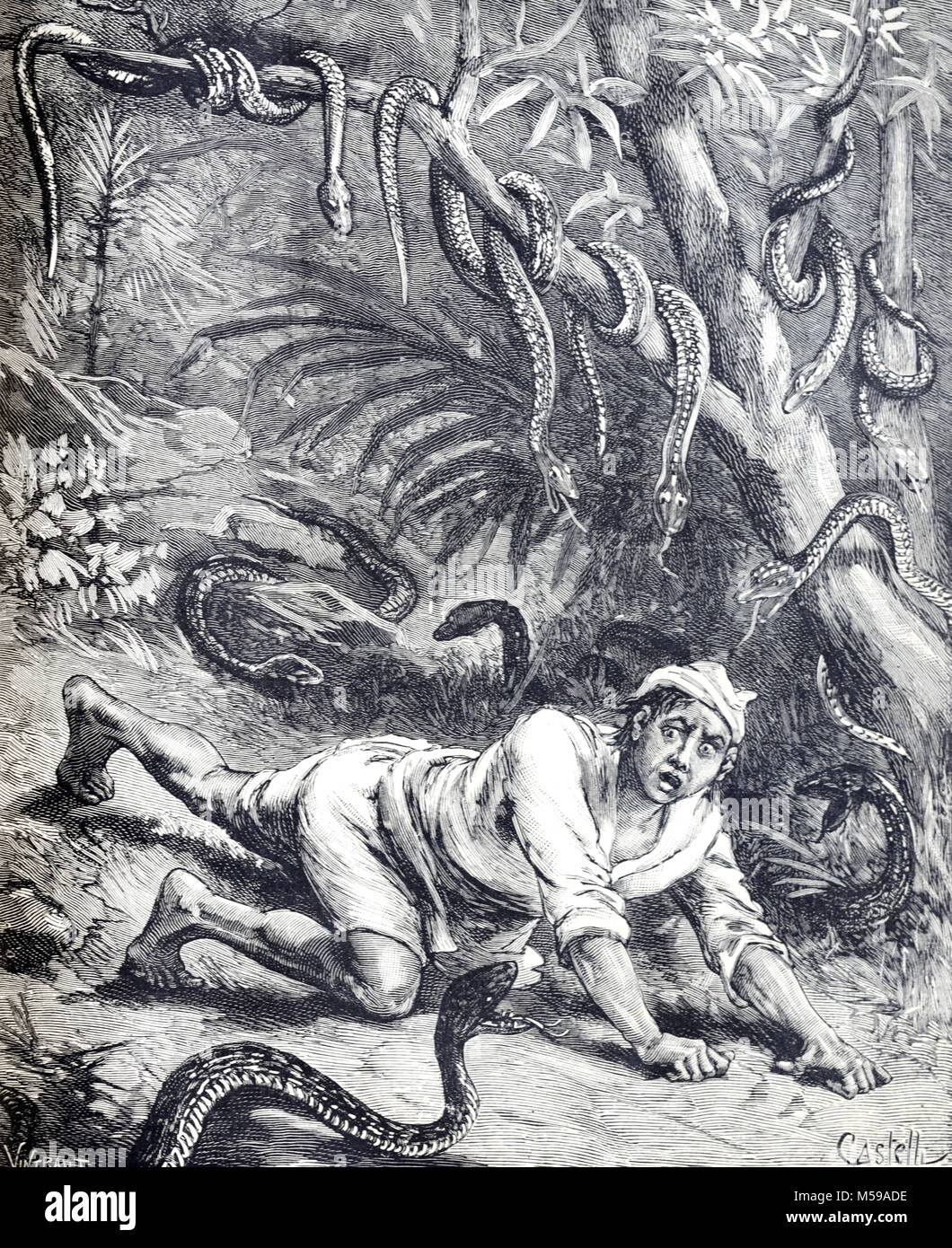 Asian Man or Villager Attacked by Snakes in Jungle or Tropical Forest in Siam or Thailand, South-East Asia. A form of snake phobia known as Ophidiophobia, Ophiophobia or, more generally, Herpetophobia (Engraving, 1889) Stock Photo