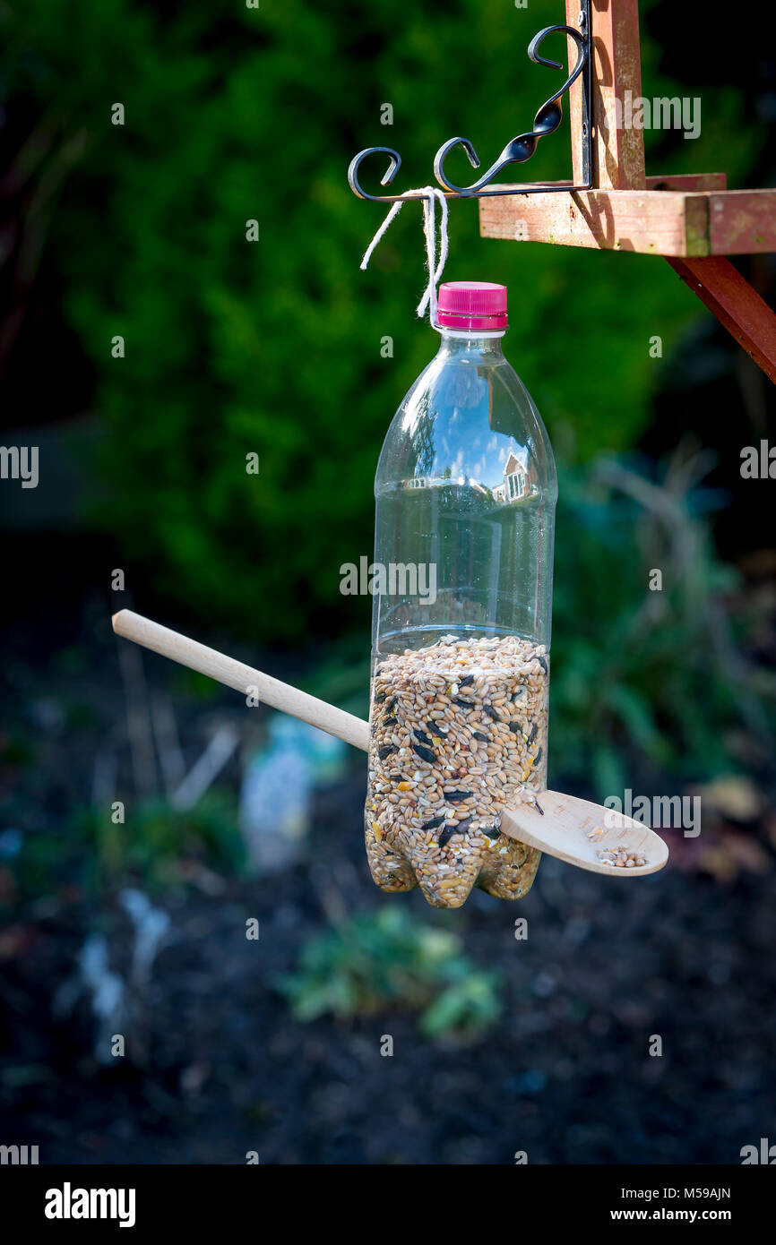 Home made bird feeder hanging from a bird table, constructed by a schoolchild from a drinks bottle, a wooden spoon and a length of string Stock Photo
