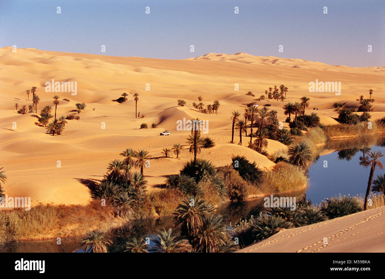 Libya. Ubari. Sahara desert. Ubari Sandsea. Um El Ma salt lake. Oasis. Palm trees. Water. 4x4 4WD car. Stock Photo