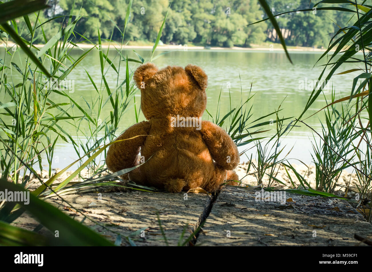 teddy bear toy sitting back to the camera alone at the lakeside Stock ...